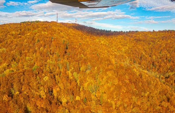 Voucher for a sightseeing flight Bieszczady Mountains - Image 4